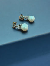 Fashion earrings